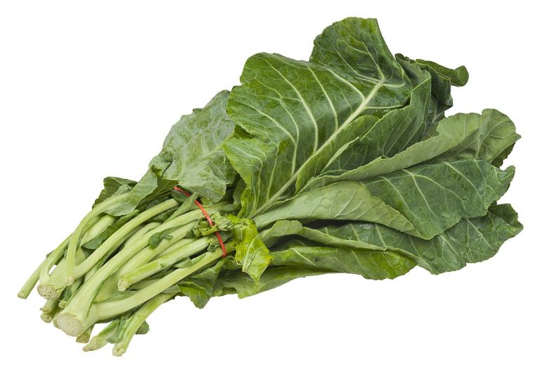 How to Grow Collard Greens in the Winter (Care Guide) Gardenisms