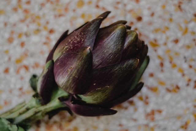 Fresh sunchoke.