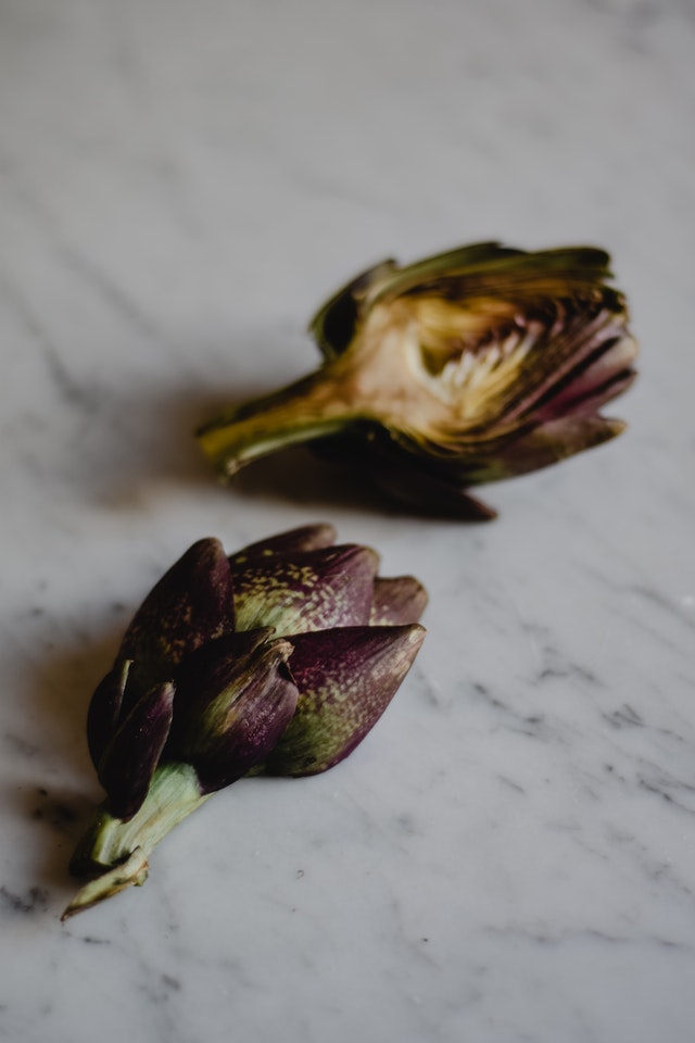 Artichoke grown from scraps.