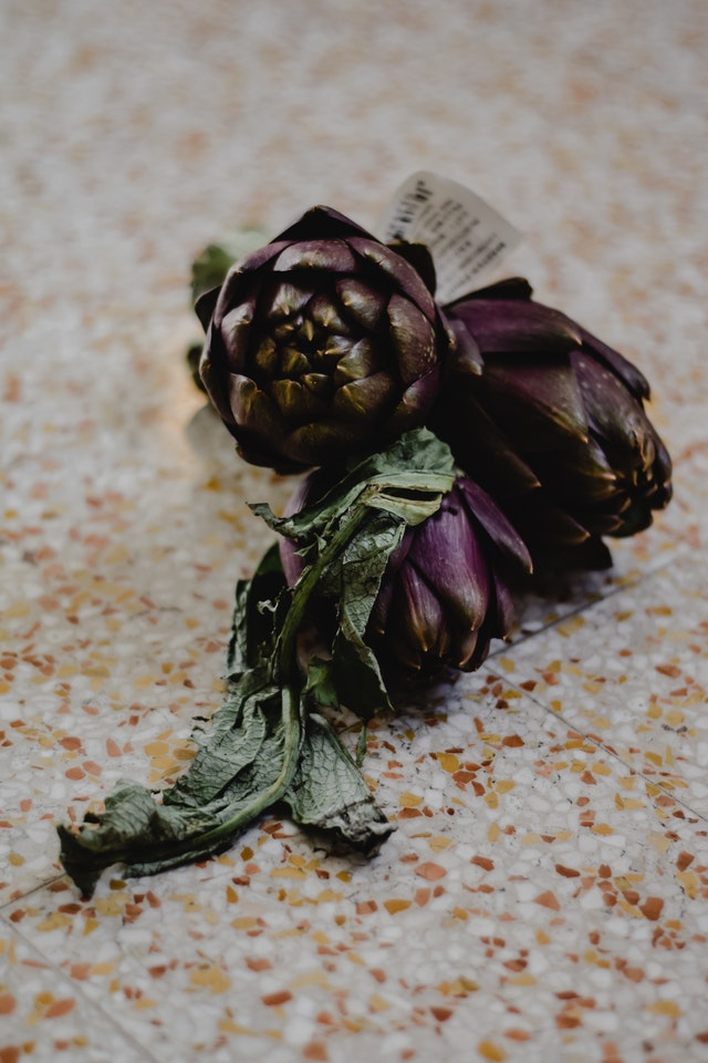 Artichoke grown from cuttings.