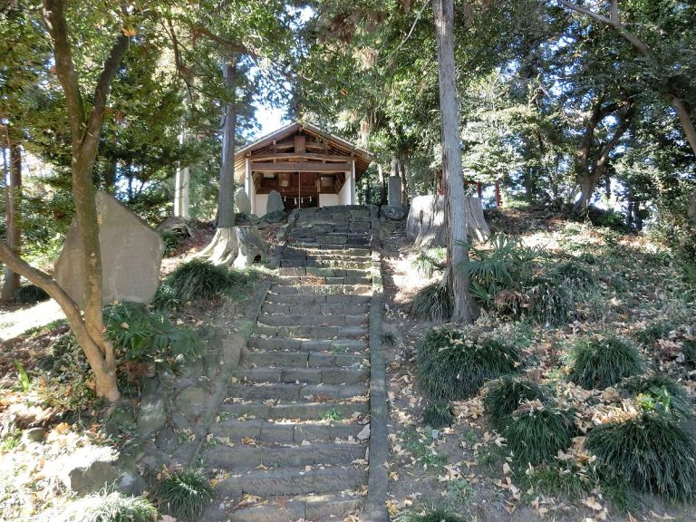 How to Grow Mondo Grass (Monkey Grass) Beginner's Care Guide Gardenisms